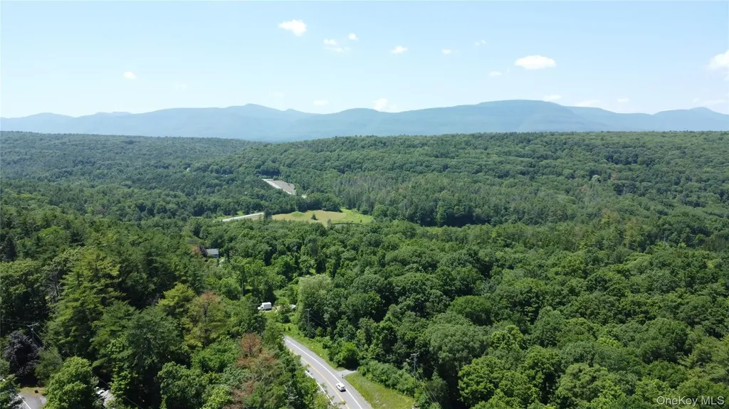 5 Will Palmer Road Catskill NY 12414