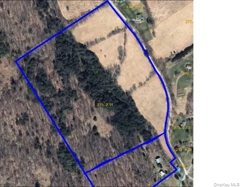 275-1-11 Budine Hill Road Walton NY 13856