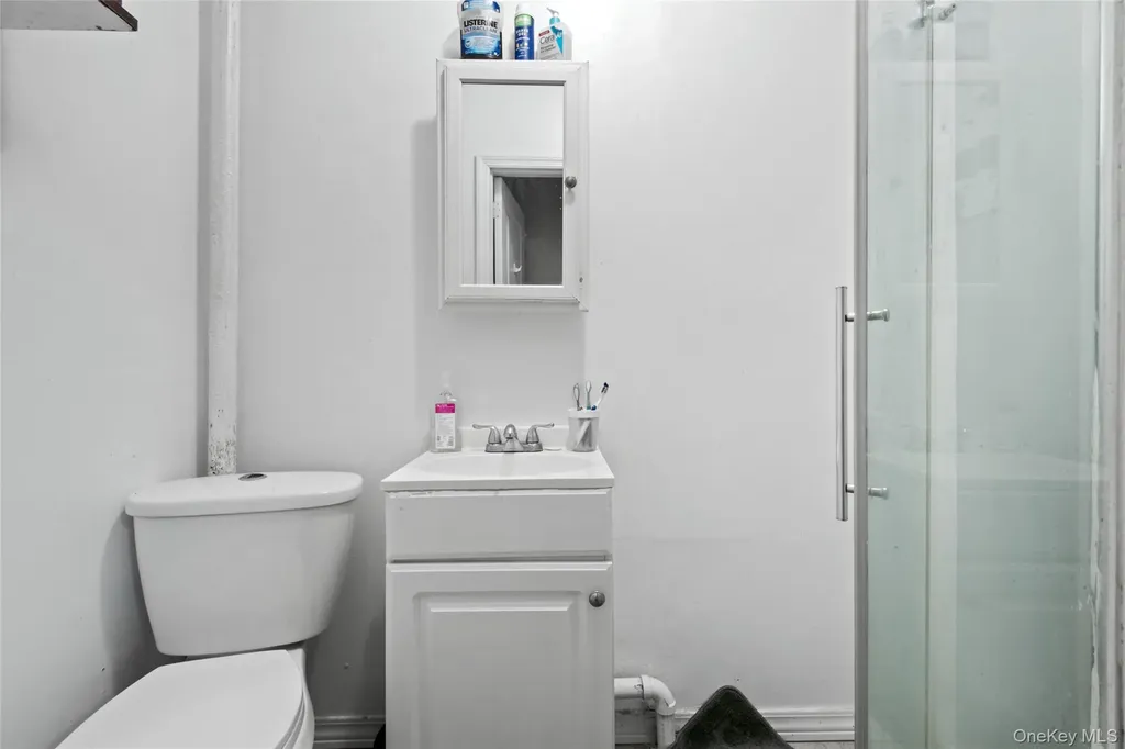 244 45th Street Brooklyn NY 11220