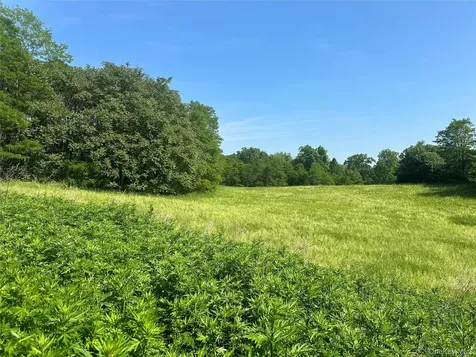 Off Pleasant Vale Road Tivoli NY 12583