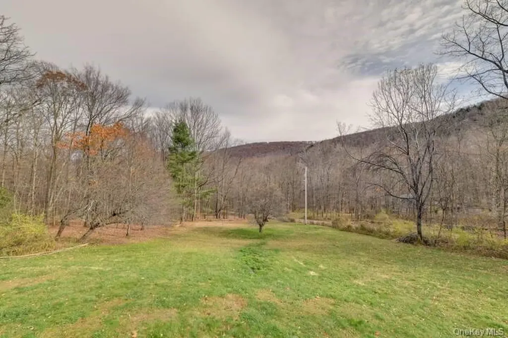 680 Weed Brook Road Walton NY 13856