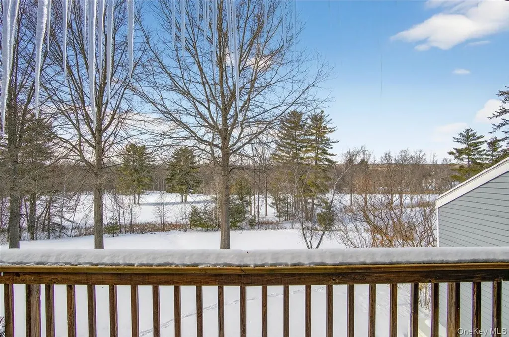 3 South Collins Terrace Call Listing Agent NY 12866