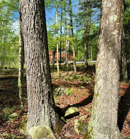 30 Narrow Road Kingston NY 12401