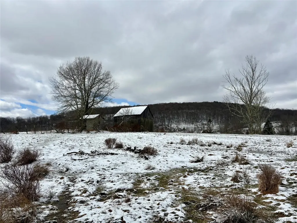 T R 28 Fremont Center NY 12736