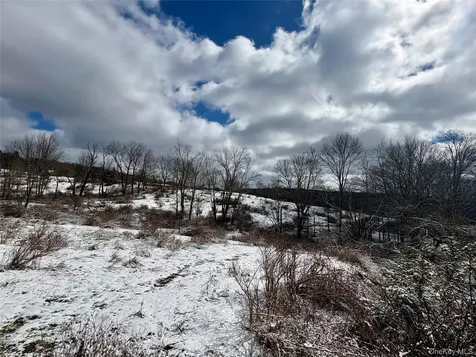 T R 28 Fremont Center NY 12736