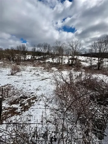 T R 28 Fremont Center NY 12736