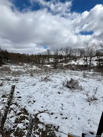 T R 28 Fremont Center NY 12736