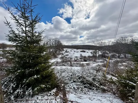 T R 28 Fremont Center NY 12736
