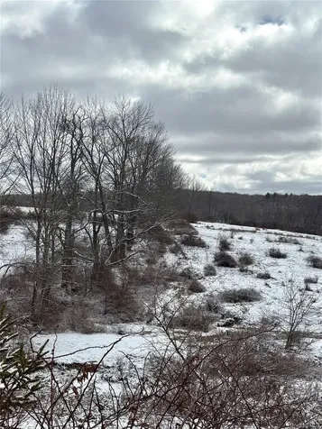 T R 28 Fremont Center NY 12736