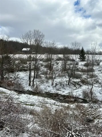 T R 28 Fremont Center NY 12736