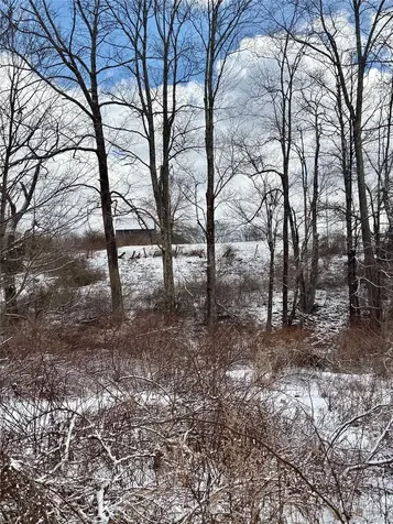 T R 28 Fremont Center NY 12736