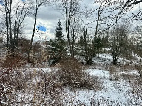 T R 28 Fremont Center NY 12736