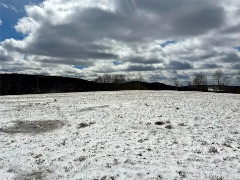 T R 28 Fremont Center NY 12736