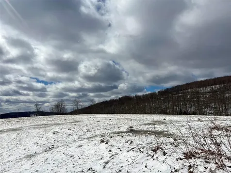 T R 28 Fremont Center NY 12736
