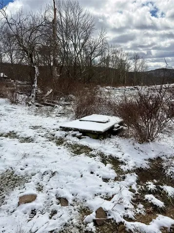 T R 28 Fremont Center NY 12736