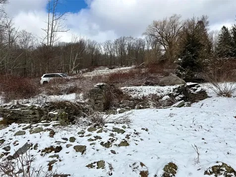 T R 28 Fremont Center NY 12736