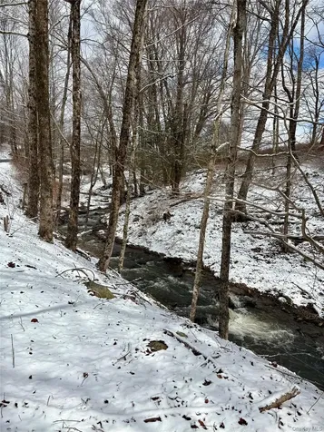 T R 28 Fremont Center NY 12736