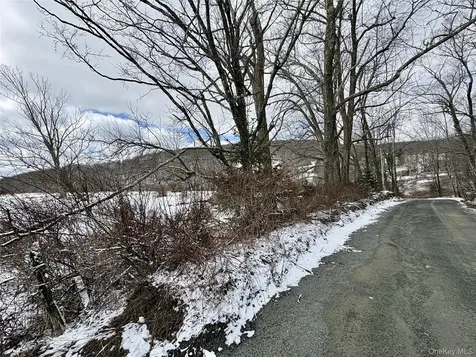 T R 28 Fremont Center NY 12736
