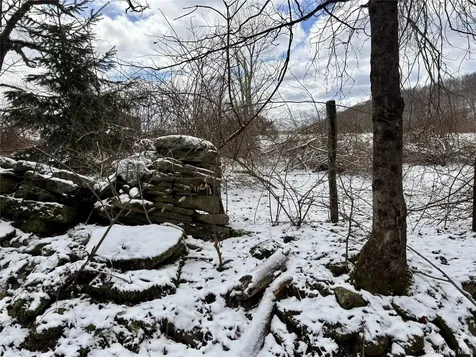 T R 28 Fremont Center NY 12736