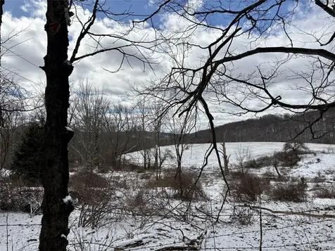 T R 28 Fremont Center NY 12736