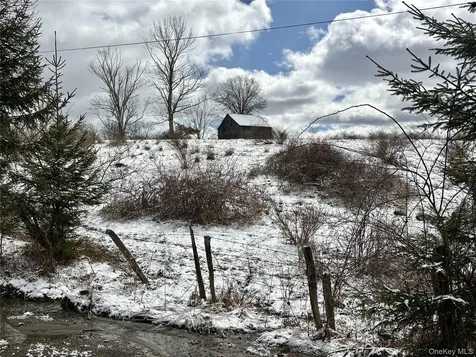 T R 28 Fremont Center NY 12736