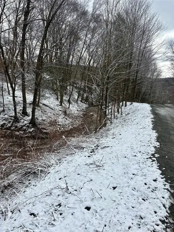 T R 28 Fremont Center NY 12736