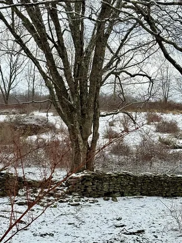 T R 28 Fremont Center NY 12736