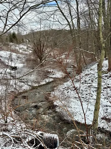 T R 28 Fremont Center NY 12736