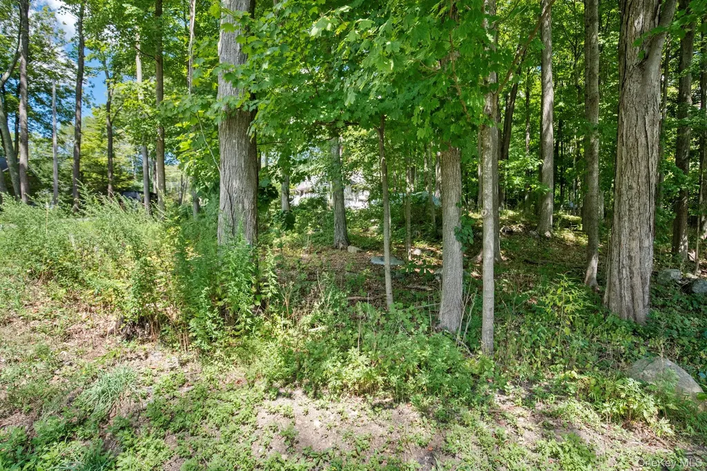 6 Rambler Road Lincolndale NY 10541