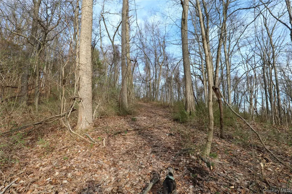 625 Broadway Esopus NY 12429