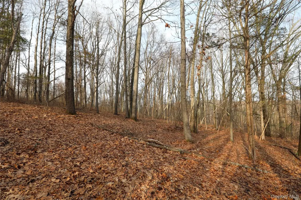 625 Broadway Esopus NY 12429