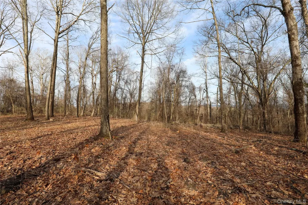 625 Broadway Esopus NY 12429