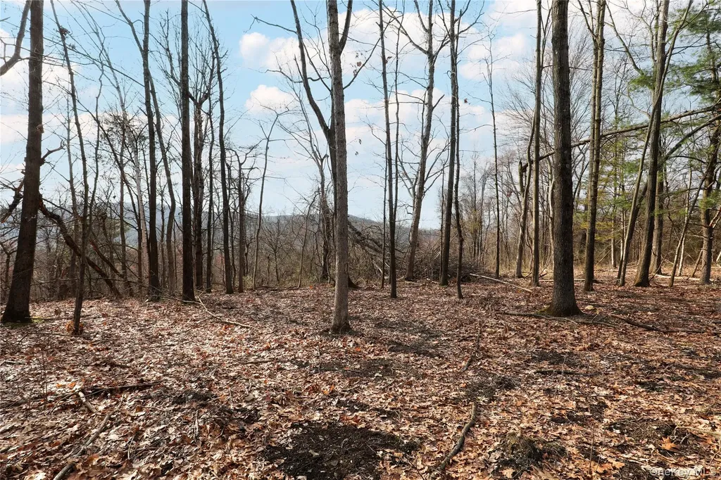 625 Broadway Esopus NY 12429
