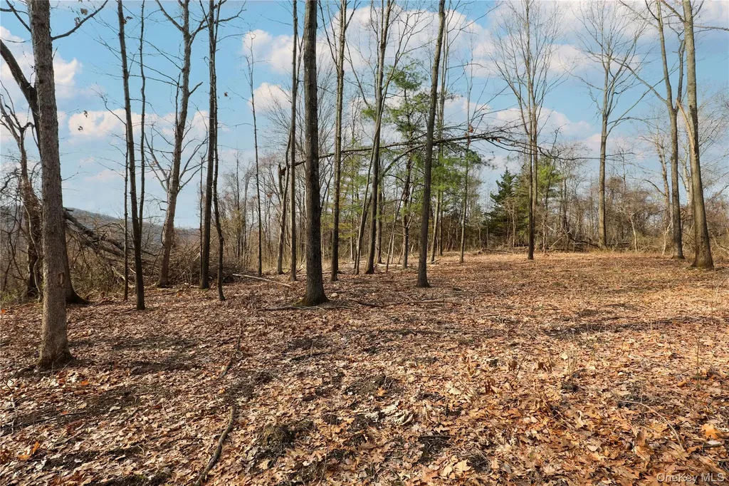 625 Broadway Esopus NY 12429