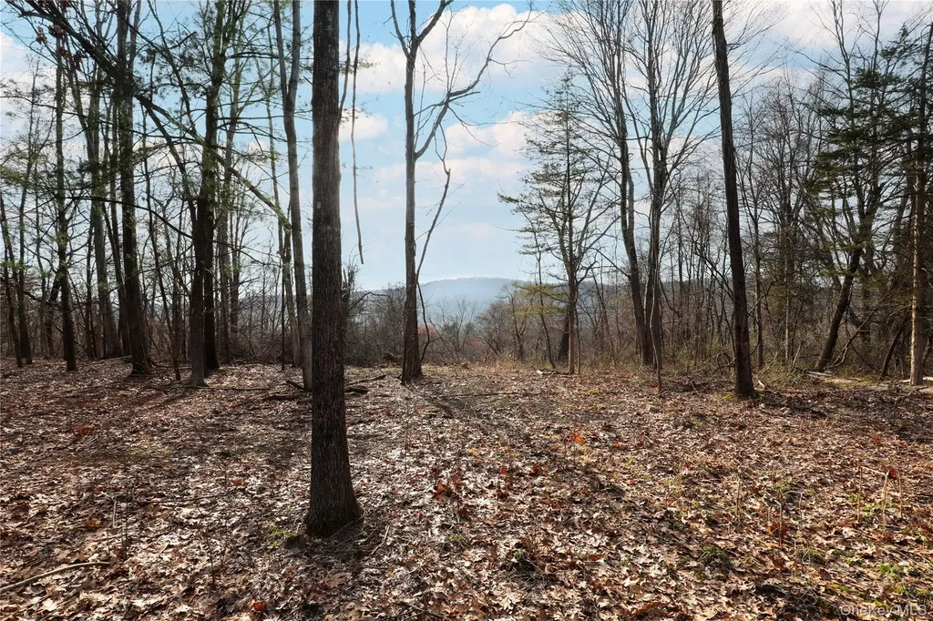 625 Broadway Esopus NY 12429