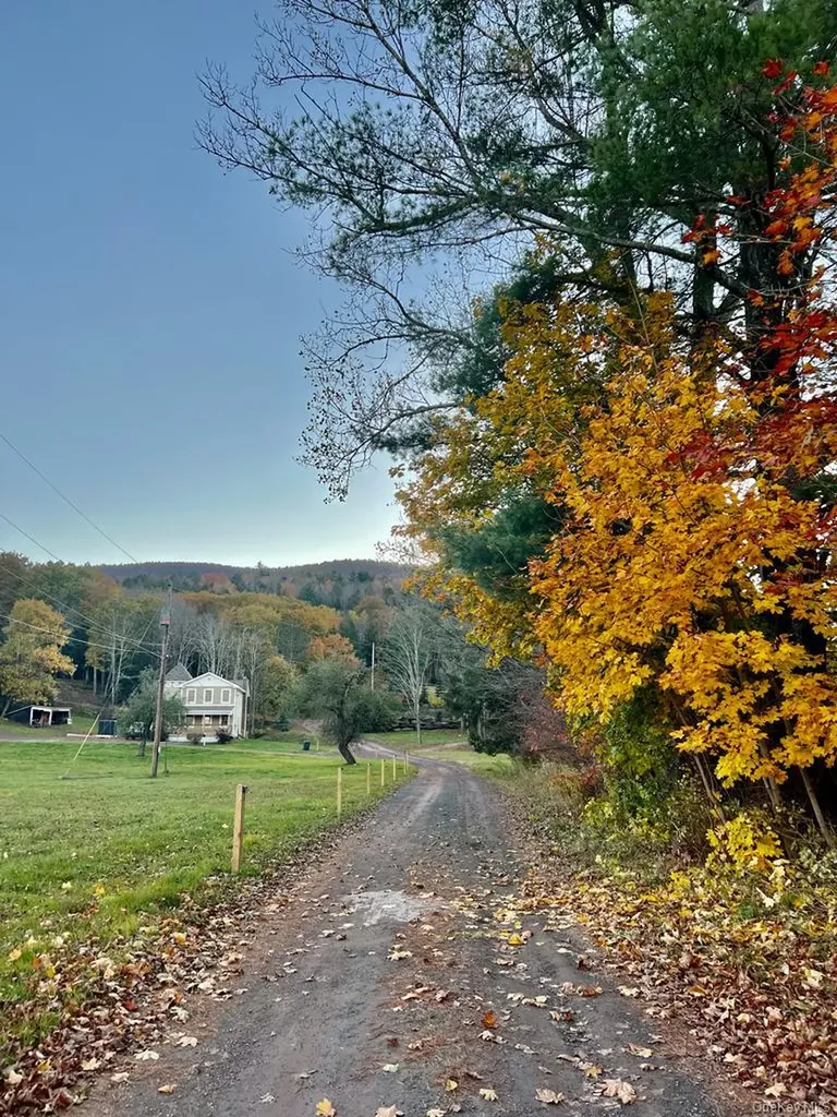 226 State Route 296 Windham NY 12496