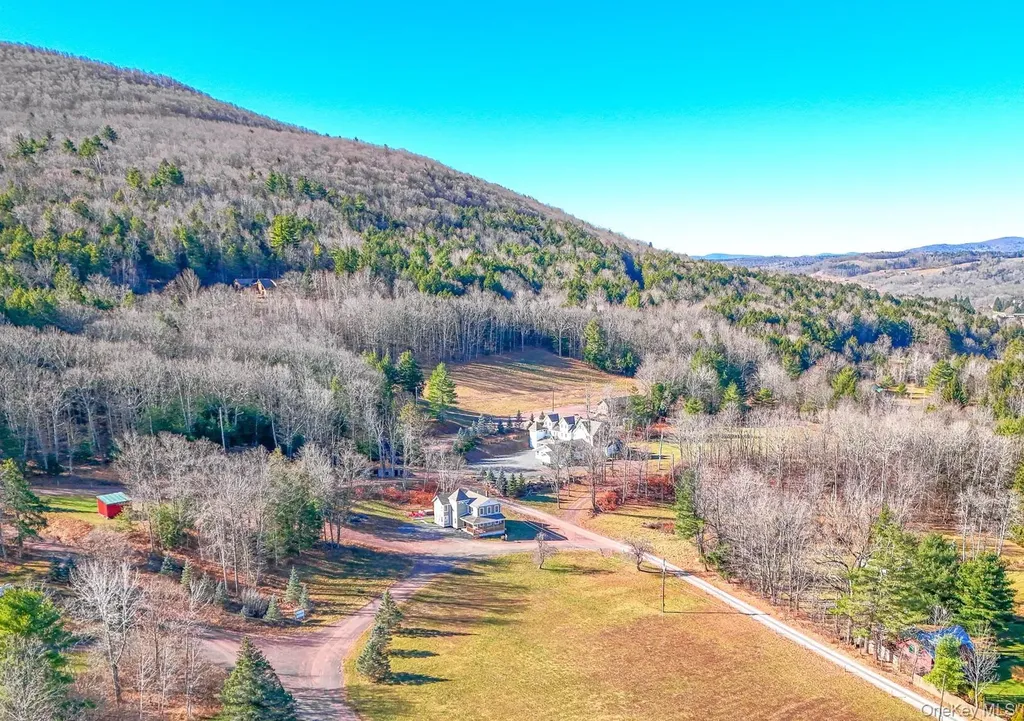 226 State Route 296 Windham NY 12496