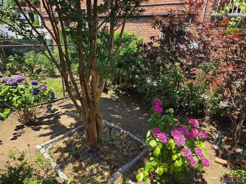1529 Hammersley Avenue Bronx NY 10469