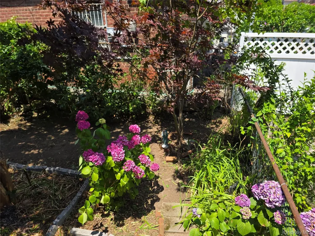 1529 Hammersley Avenue Bronx NY 10469