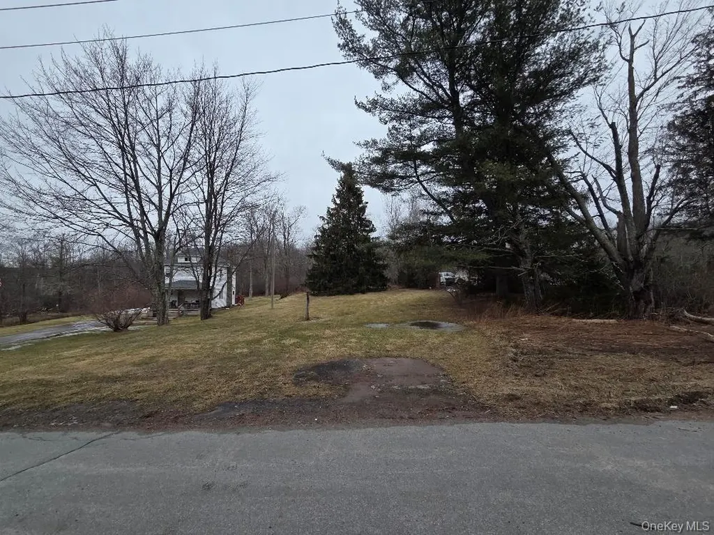 Tbd State Route 52 White Sulphur Spring NY 12787