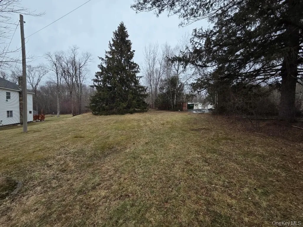 Tbd State Route 52 White Sulphur Spring NY 12787