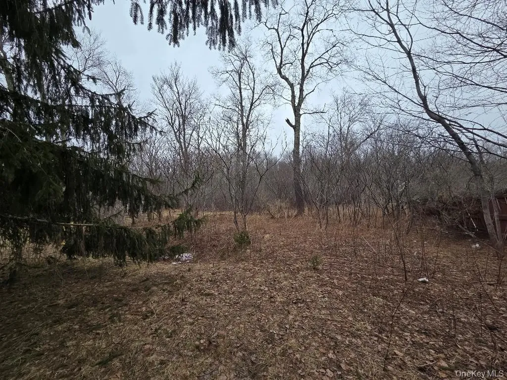 Tbd State Route 52 White Sulphur Spring NY 12787