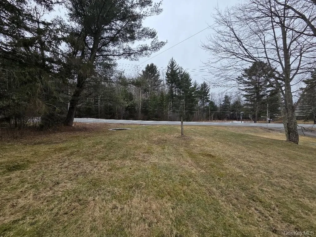 Tbd State Route 52 White Sulphur Spring NY 12787