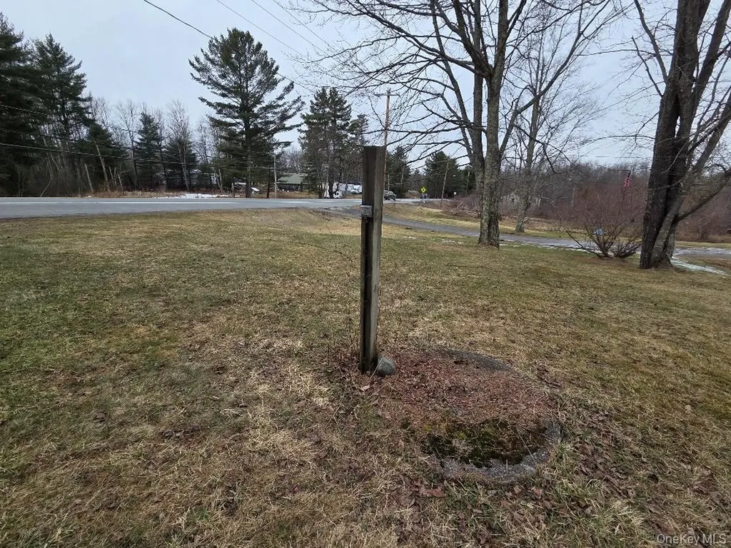 Tbd State Route 52 White Sulphur Spring NY 12787
