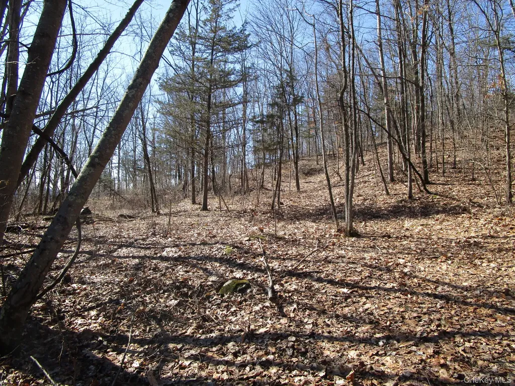 Co Route 12 New Hampton NY 10958