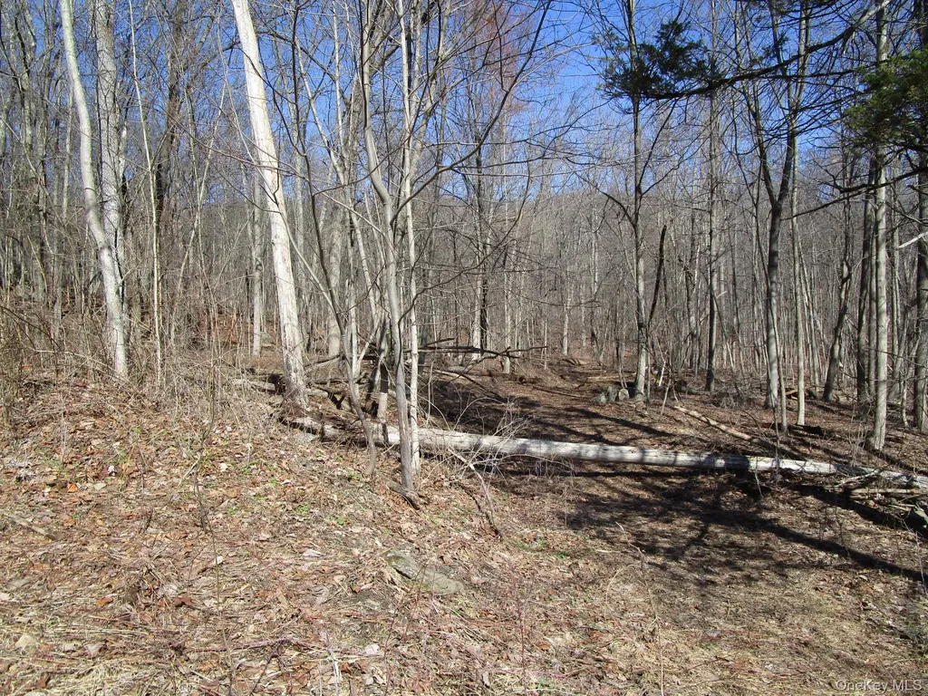 Co Route 12 New Hampton NY 10958