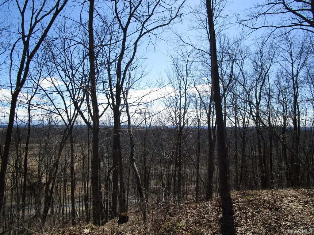 Co Route 12 New Hampton NY 10958