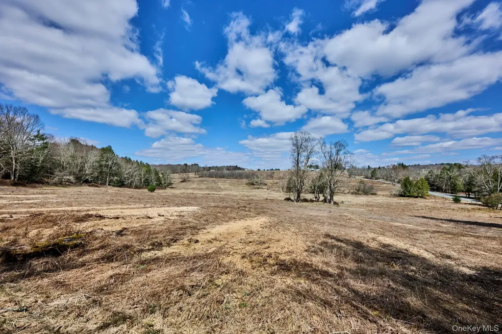 Lot 17.9 Shortcut Road Cochecton NY 12726