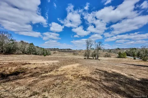 Lot 17.9 Shortcut Road Cochecton NY 12726
