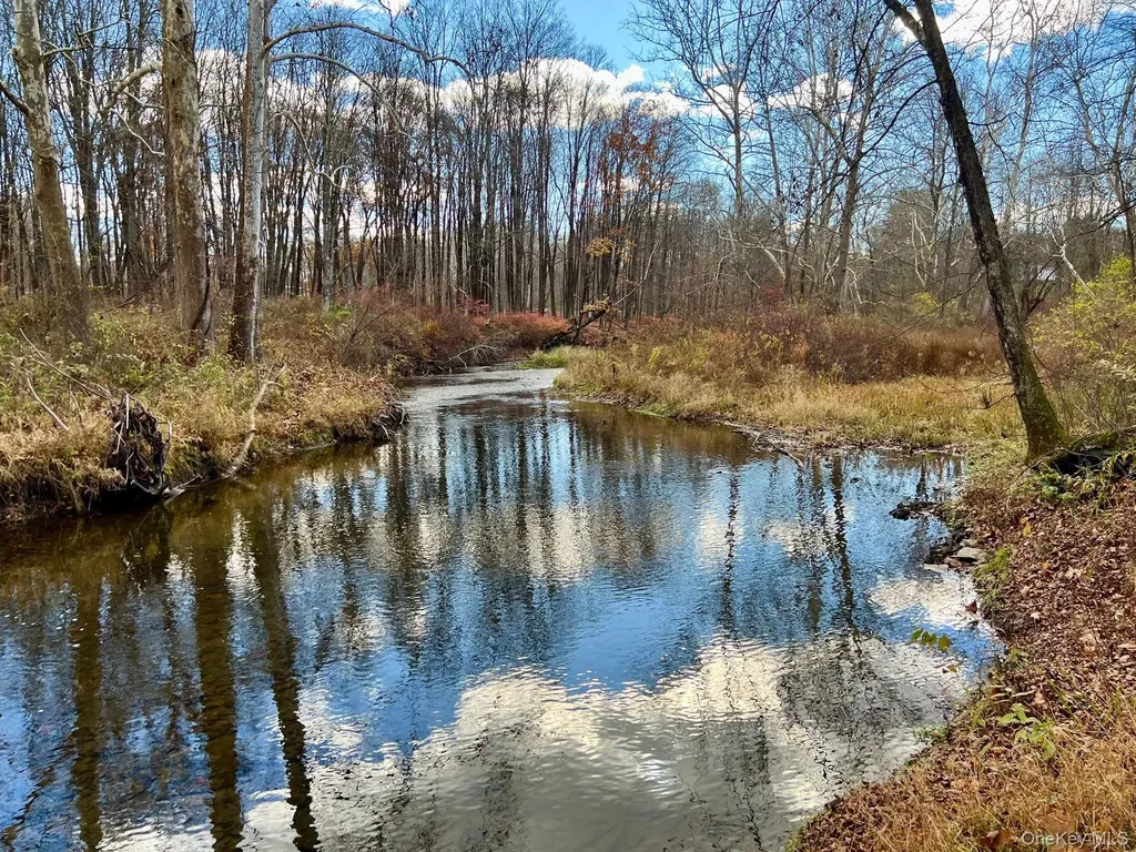 28 Clinton Corners Road Salt Point NY 12578